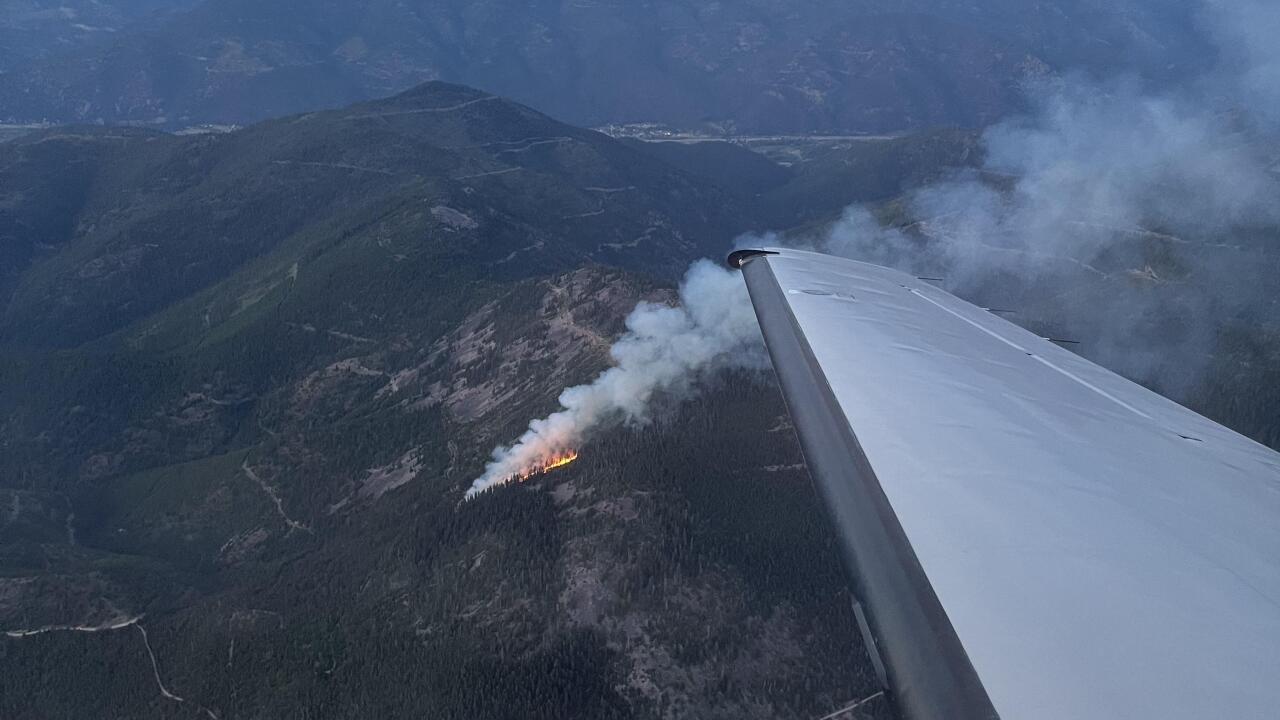 Deer Fire