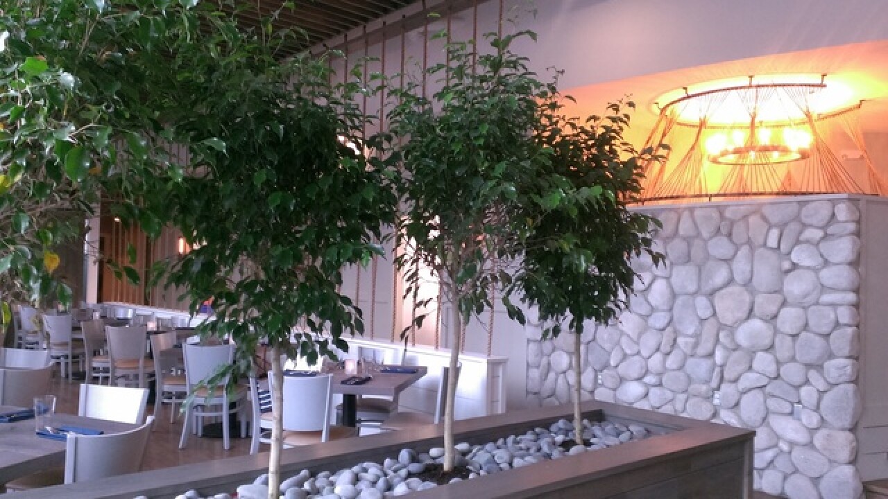 PHOTOS: A look inside Salt on Mass