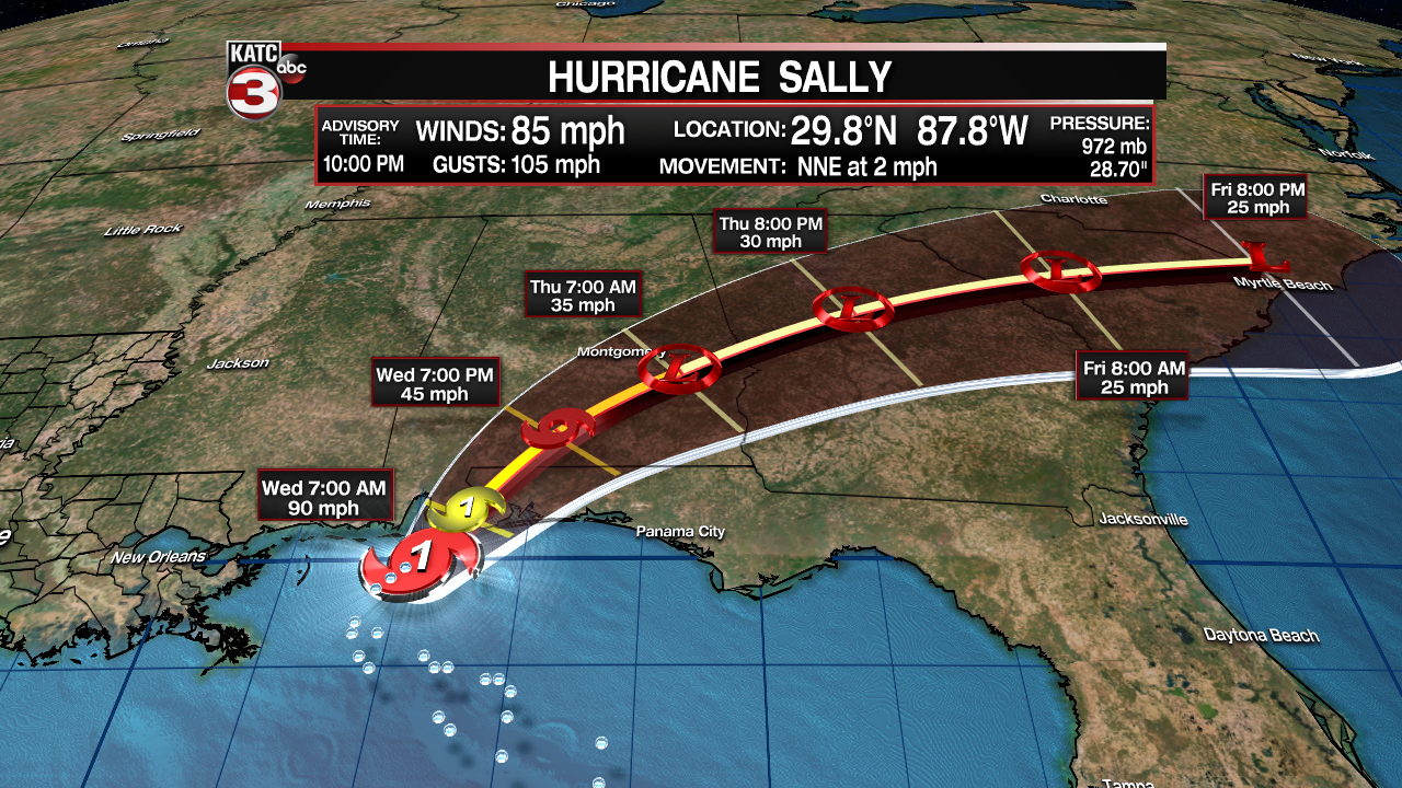Sally2.png