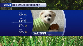 Watson