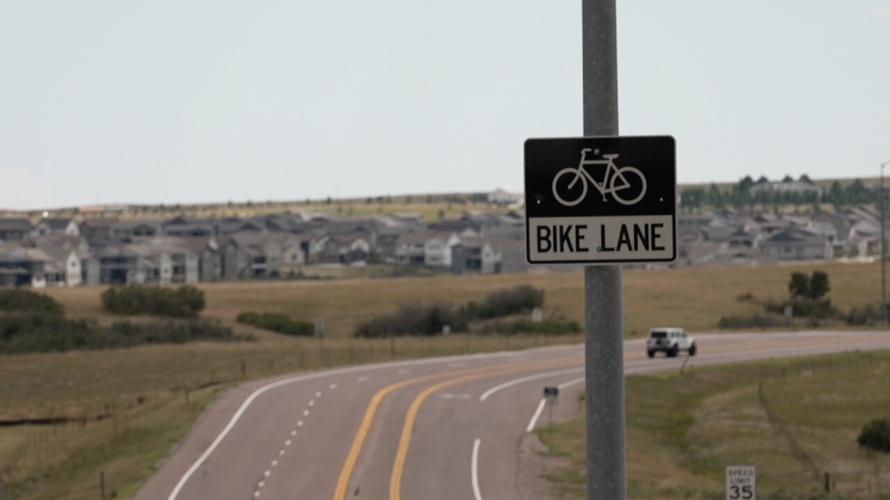 sharing the road.jpg