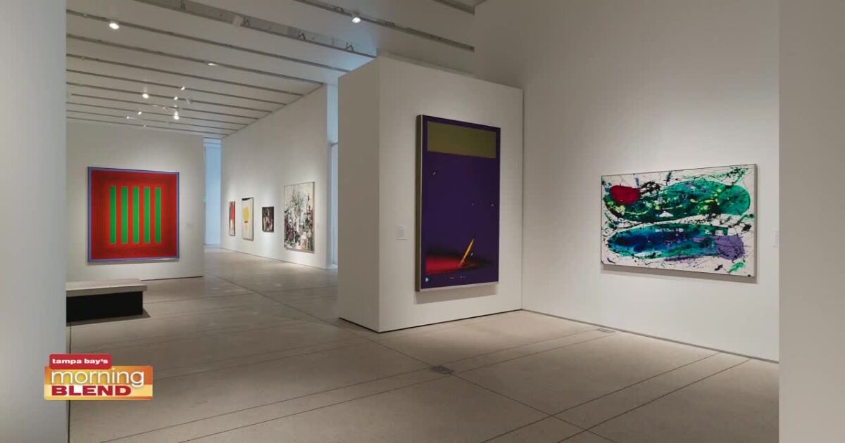 Tampa Museum Of Art Abstract Expressionism