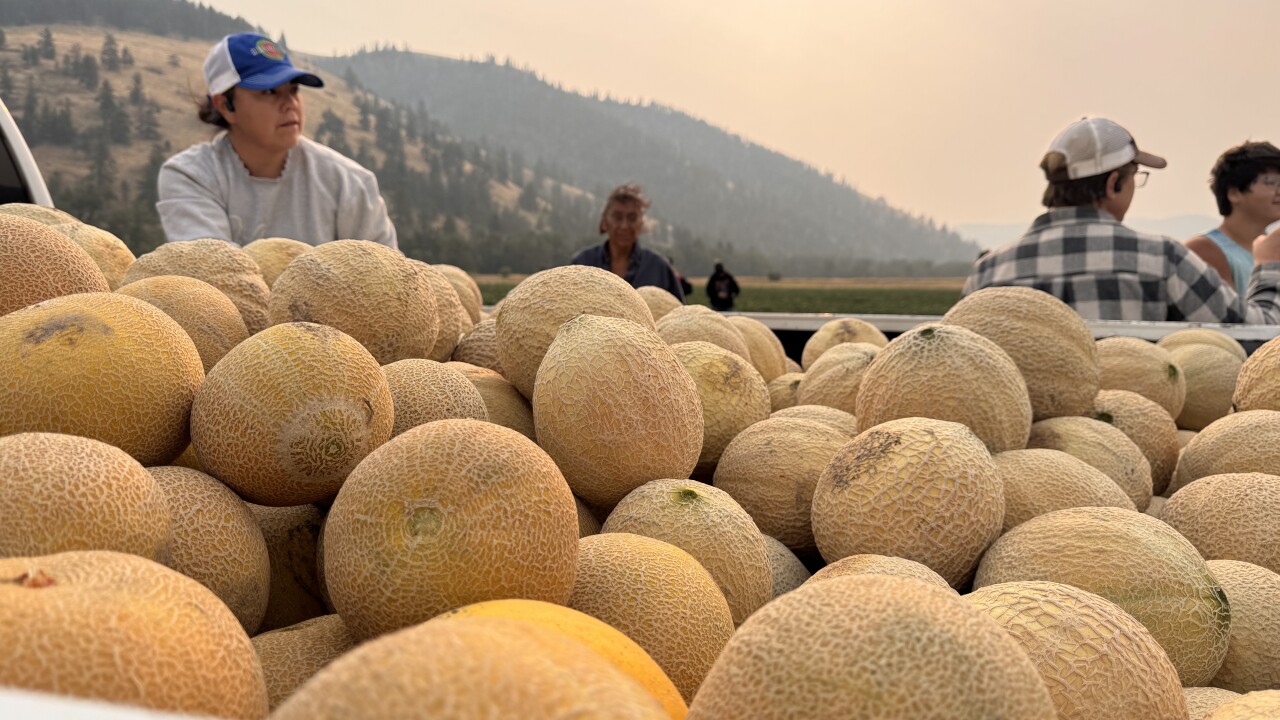 Dixon Melon's Harvest
