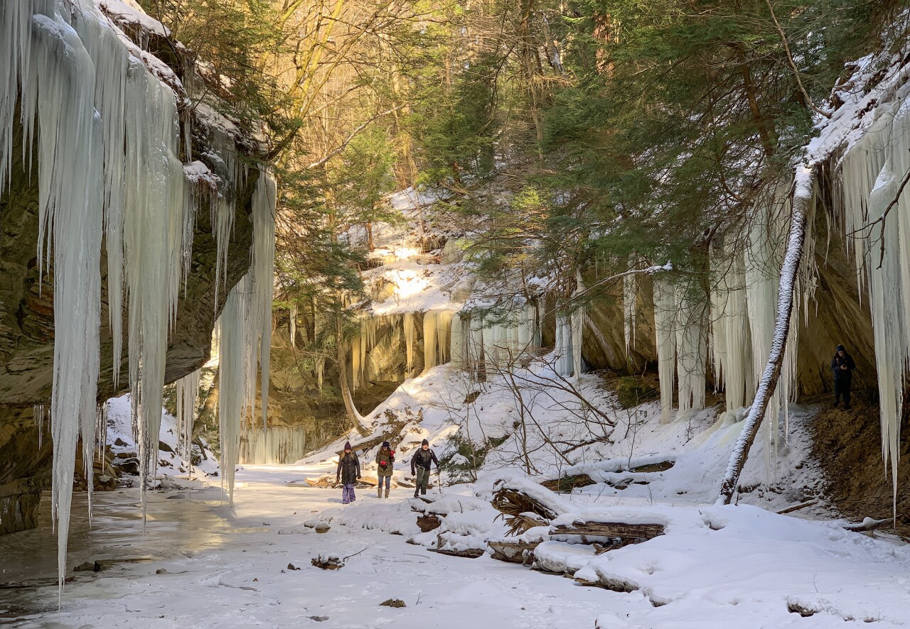 Stebbins Gulch, Holden Arboretum  (1).jpg