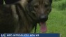 MPD welcomes new K9 officer