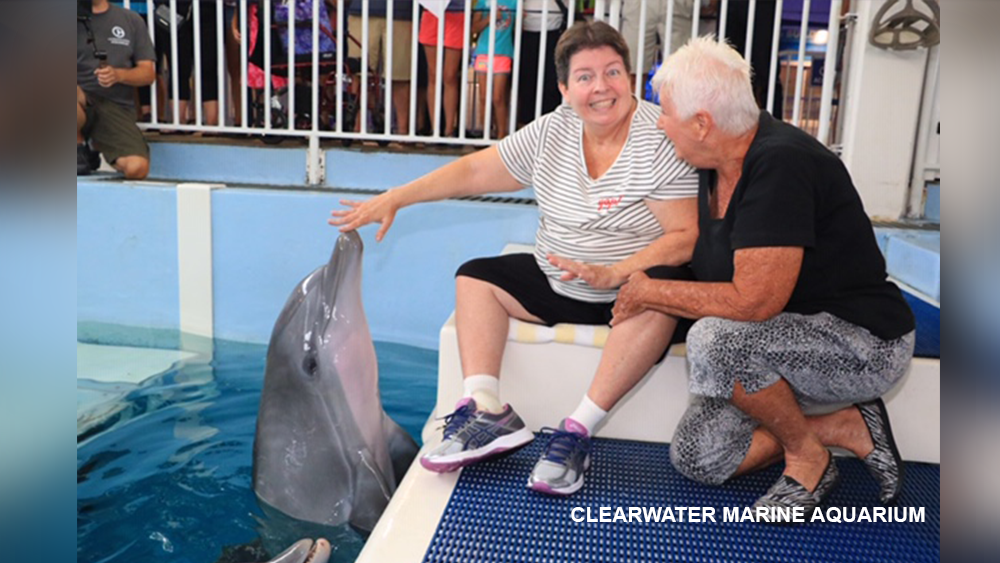 CLEARWATER-MARINE-AQUARIUM.png