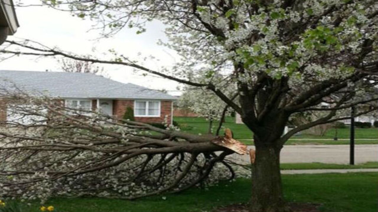 PHOTOS: Saturday's crazy weather