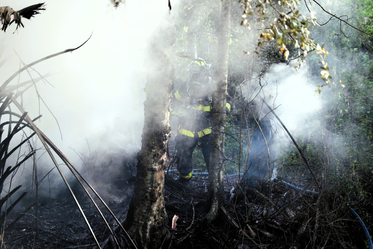 Two people confirmed dead in Tampa plane crash: HCFR