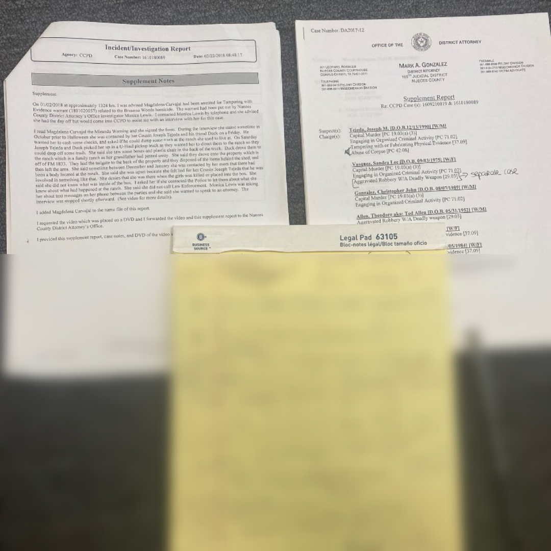 Case notes and investigation reports