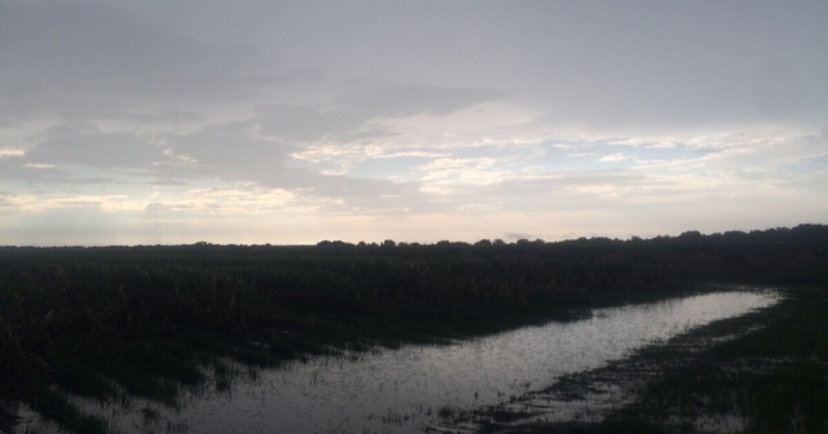 Focus Lee County >> Rural Polk County Focus Of Lee County Missing Person S Case Focus Lee County >> Rural Polk County Focus Of Lee County Missing Person S Case