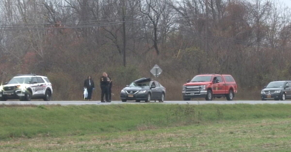 Genesee County woman killed after striking deer on Route 19 in LeRoy - Vimarsana News