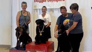 Kalispell Pet Fest