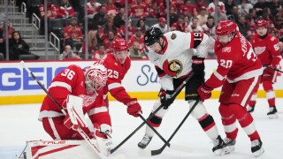 Senators Red Wings Hockey