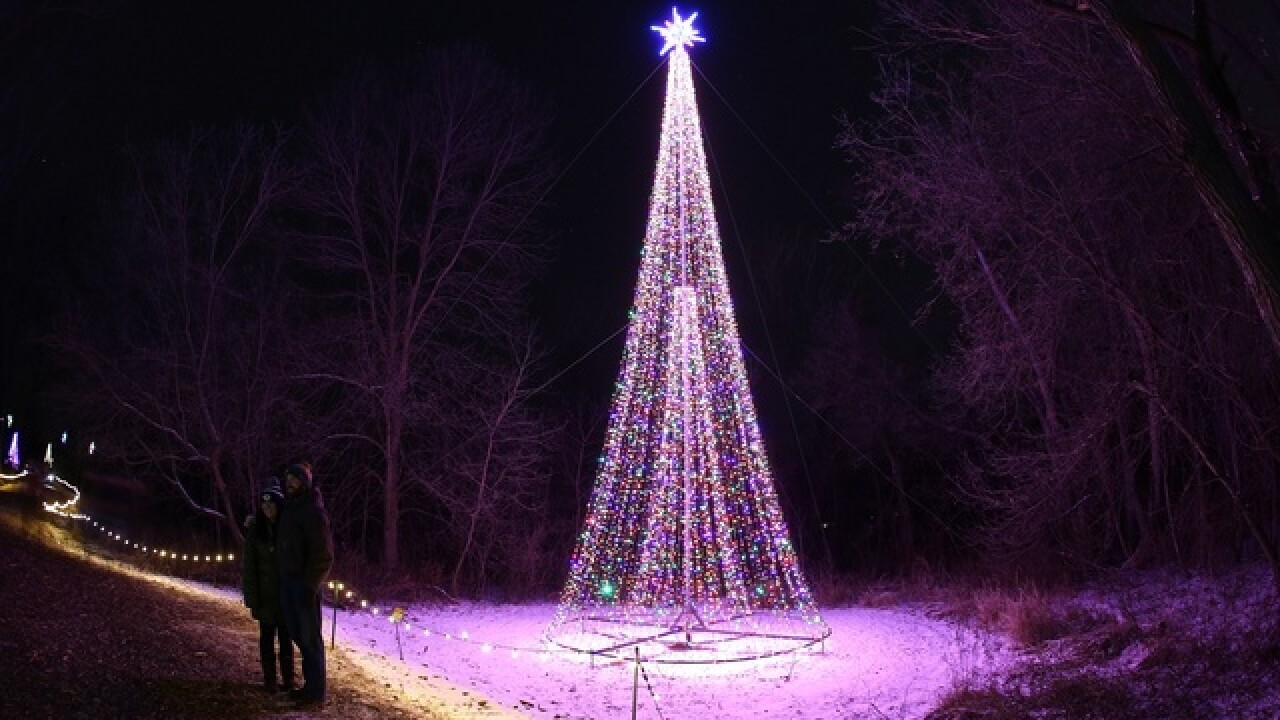 Annual Garden Of Lights Returns To Green Bay Botanical Garden