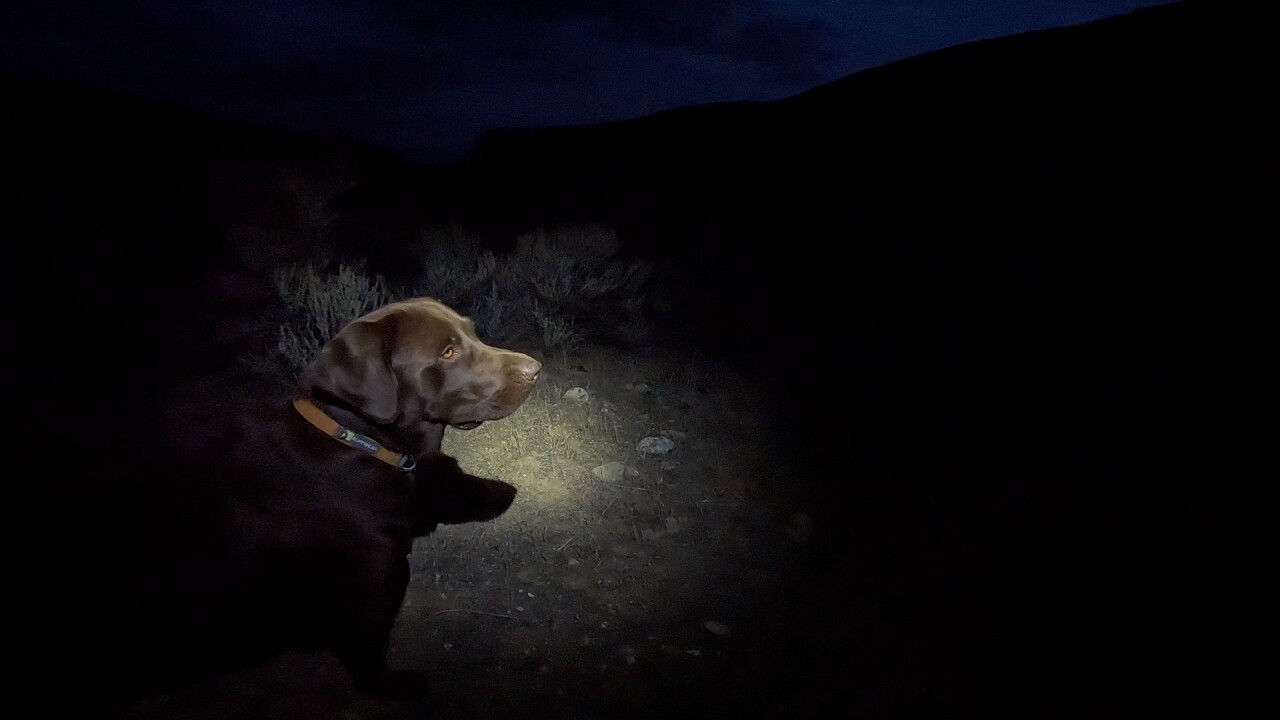 We didn't make it to the reservoir until after dark