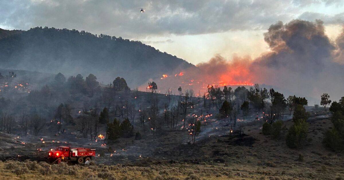 Five Utah wildfires ignite in 24 hours, containment up Five Utah wildfires ignite in 24 hours, containment up