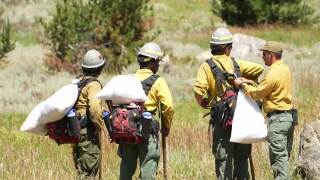 Fire Fighters at Silver Run Fire 
