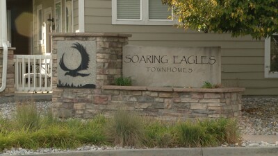 Soaring Eagles
