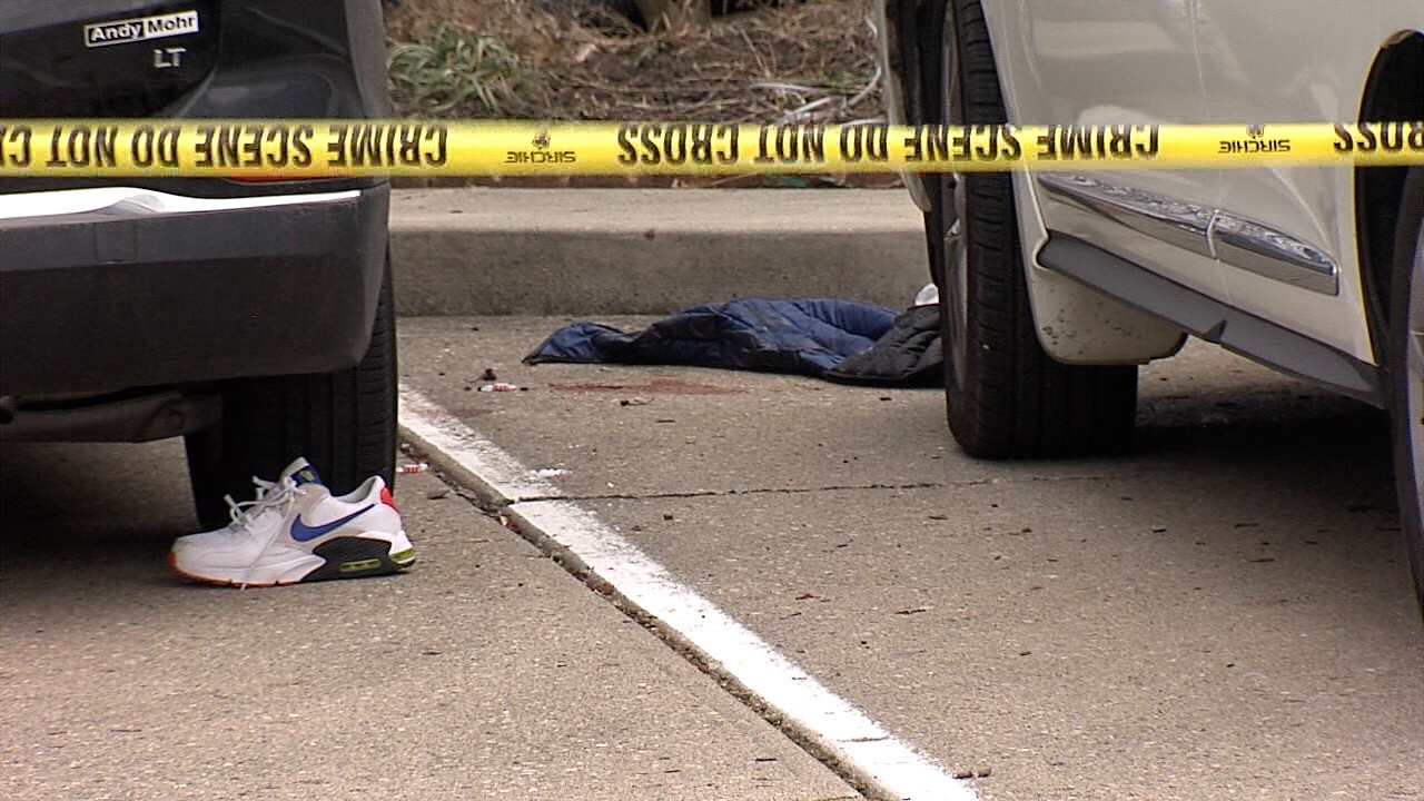 Timber View Shooting 2.jpg