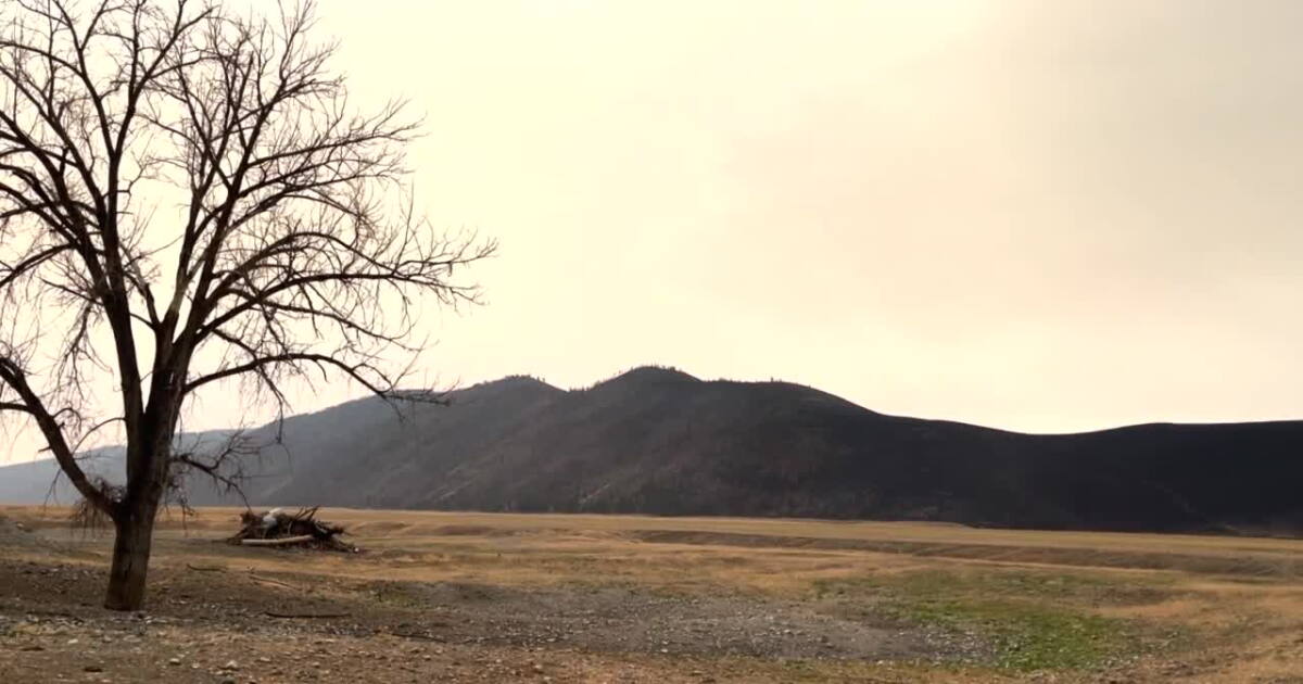 Niarada Fire burning near Elmo holding at 20,365 acres; 90% contained - Vimarsana News