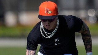 Tigers Spring Baseball