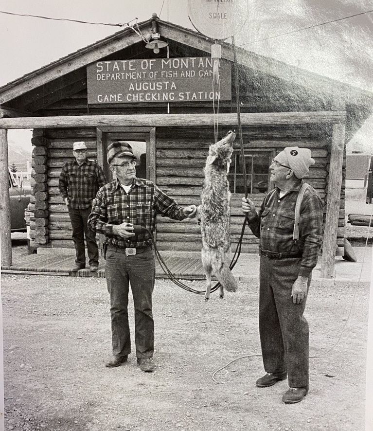 Augusta Game Checking Station