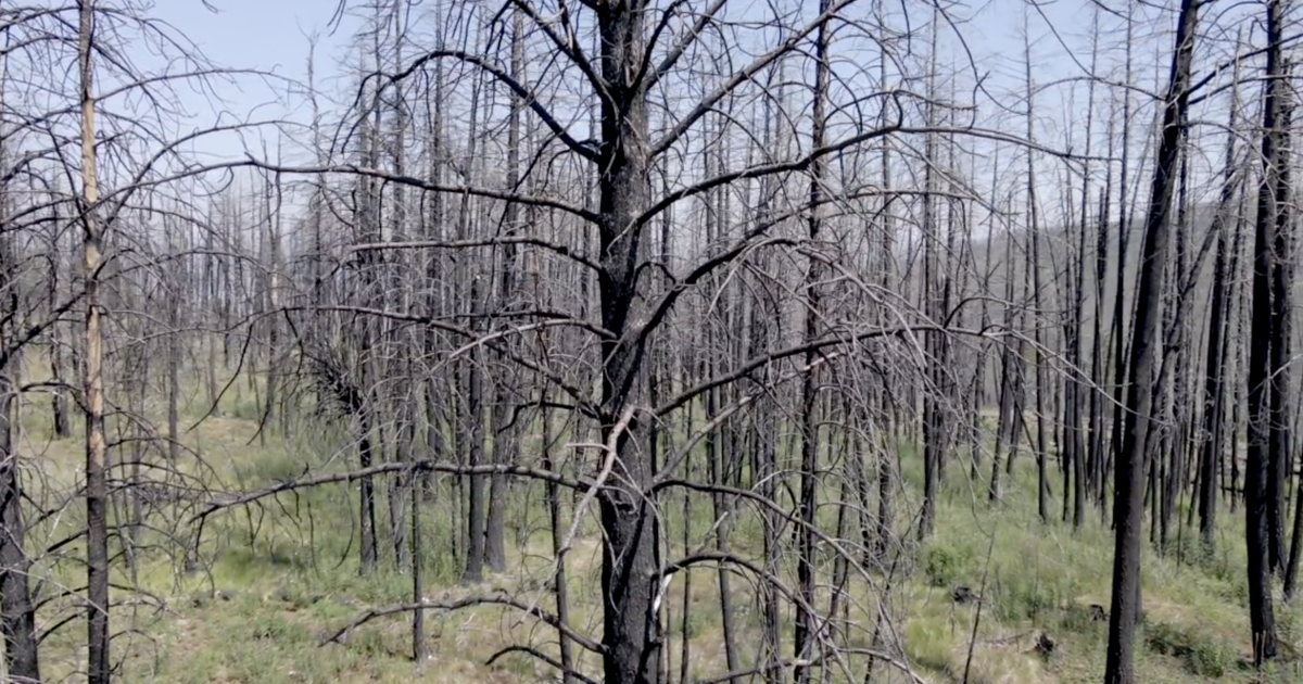 Stage 1 fire restrictions implemented in Southwest Idaho