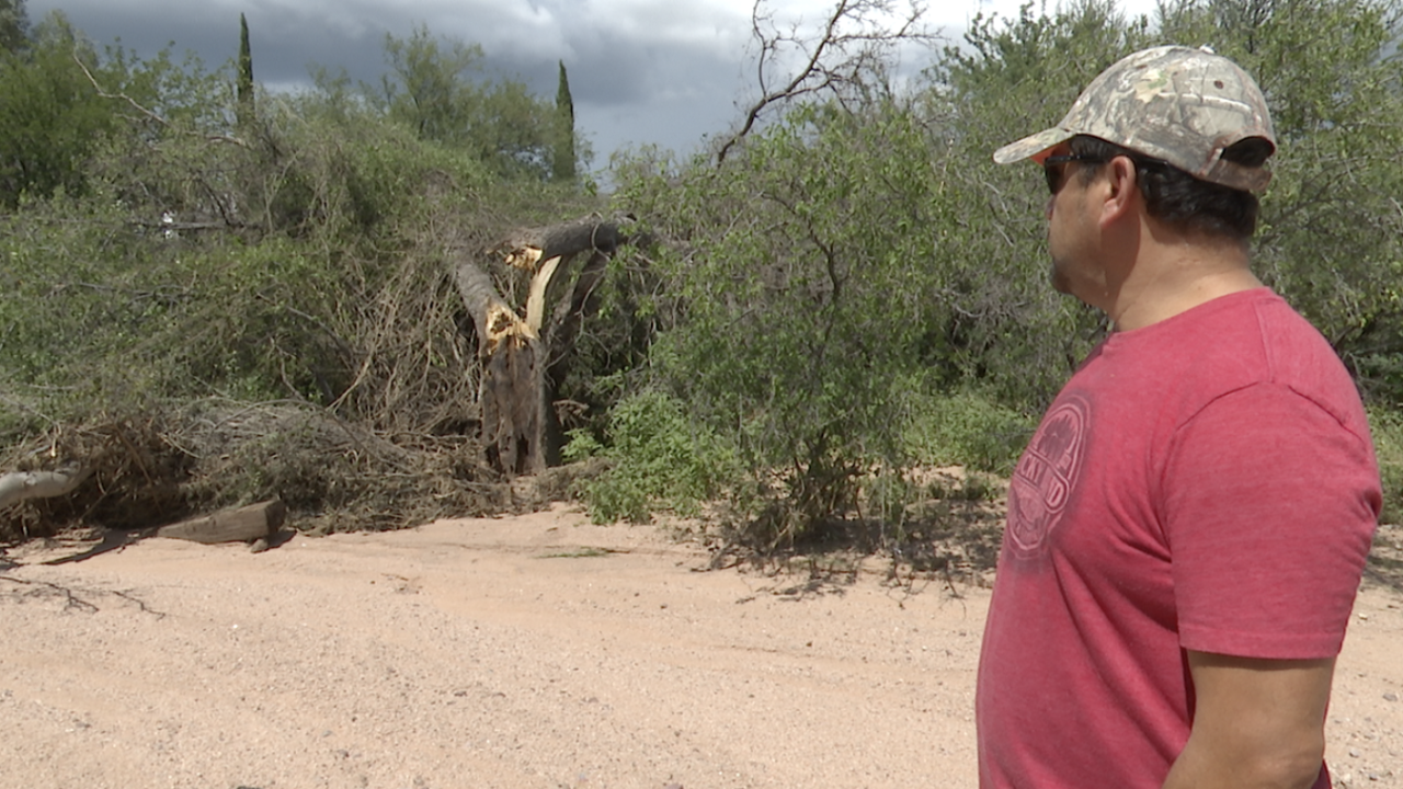 Benson flooding 2022