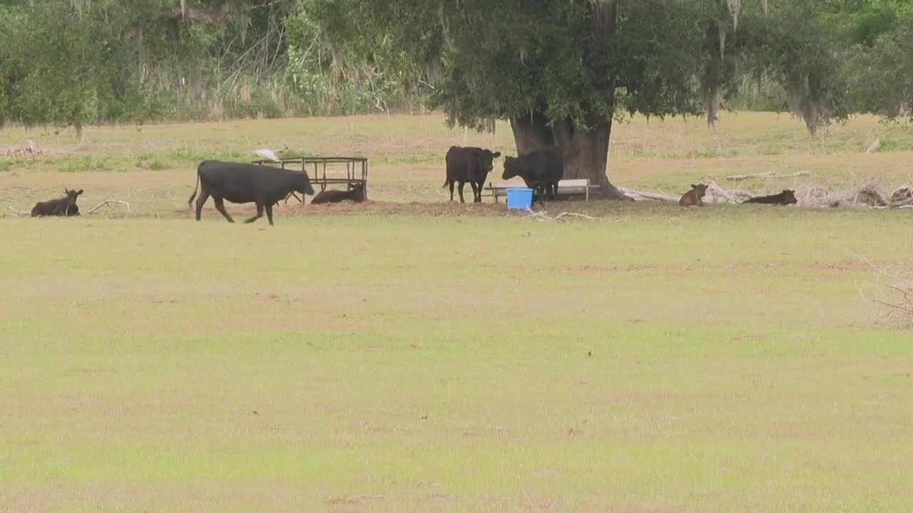 madison county farmer drought