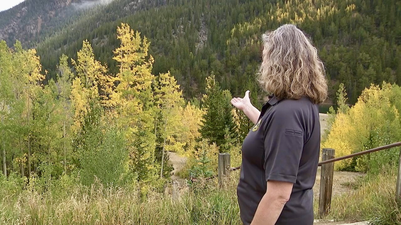 Jenny looking out on trees.jpg