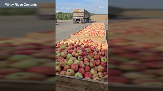 Screenshot 2025-02-18 at 10.48.51 PM.png