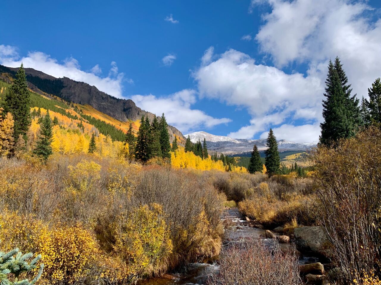 fall color near bailey colorado.jpg