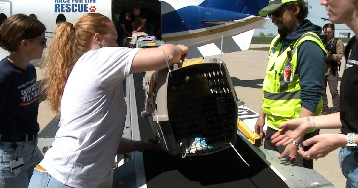 200 dogs rescued from alleged puppy mill in North Carolina - Vimarsana News