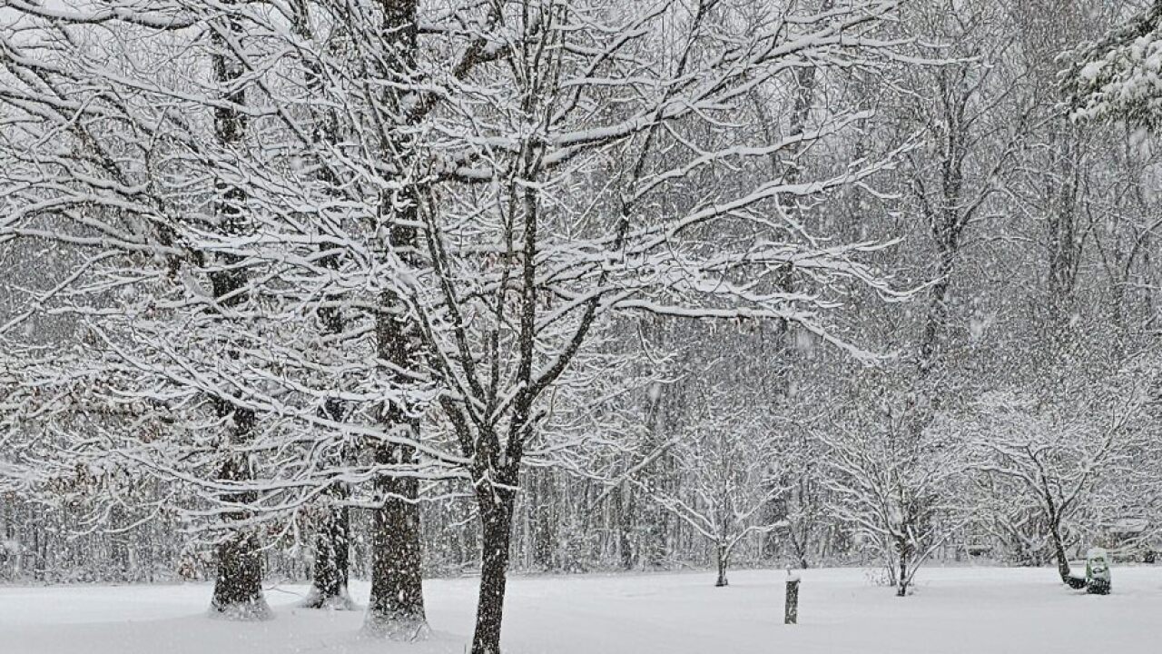Cumberland, VA, Bear Creek Lake area. Lots of snow and still coming down.