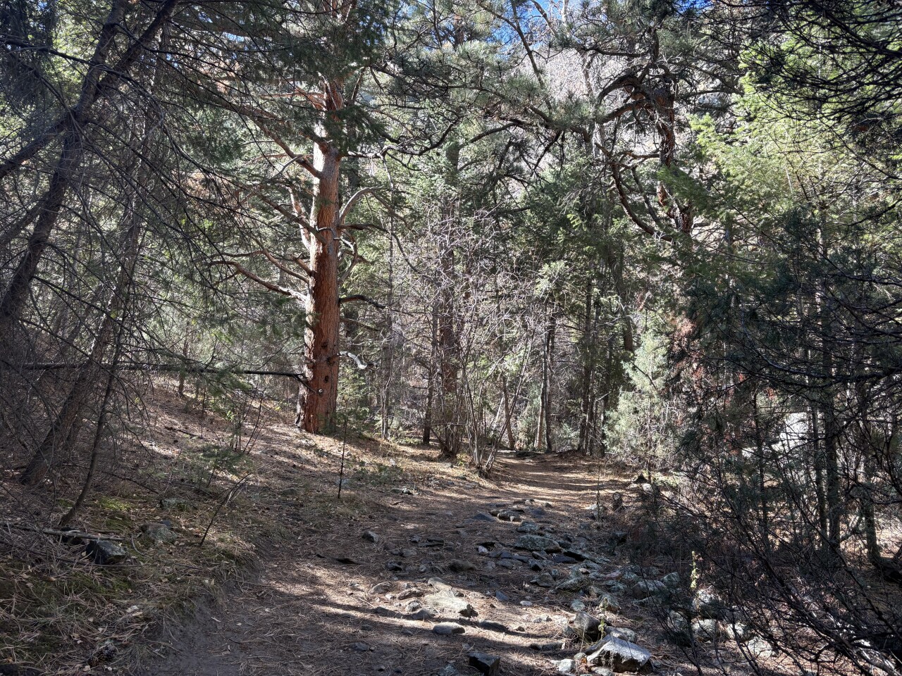 Chavez Trail and Beaver Brook Trail