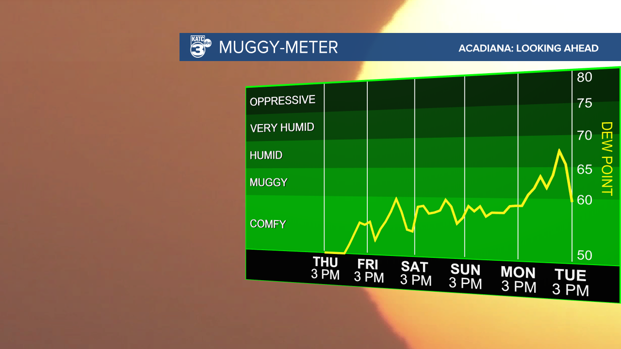 Muggy Meter-1607543012179.png
