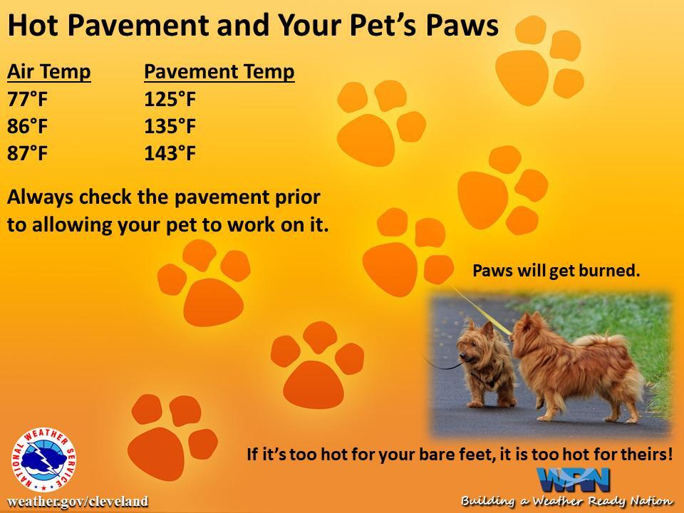 pavement-dogs-pets-heat.jpg