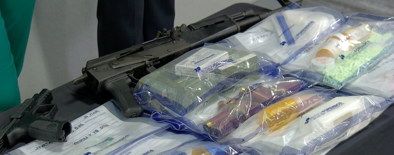 Screen Shot 2023-11-14 at 12.15.46 PM.png