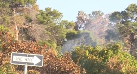 Brush fire rekindled near Costco in Boca Raton. April 14, 2024.png