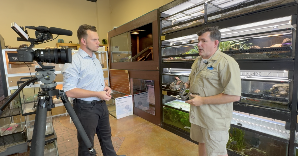 Fox Cities reptile rescue overwhelmed by surrenders, seeks homes for 150 animals