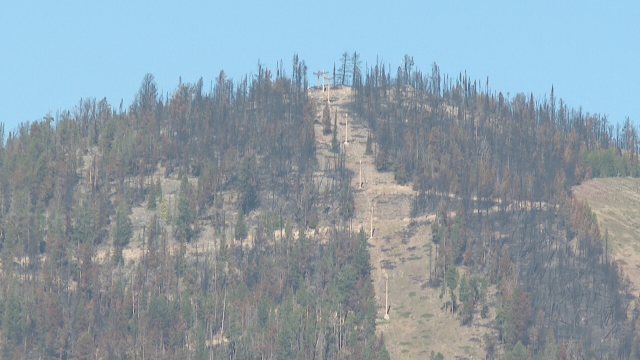 MAVERICK HILL TOP.jpeg