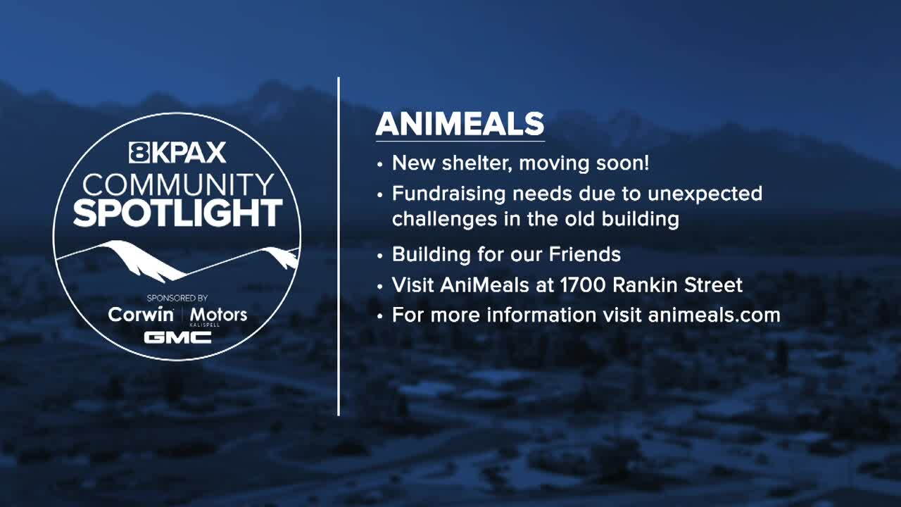 Community Spotlight AniMeals GFX