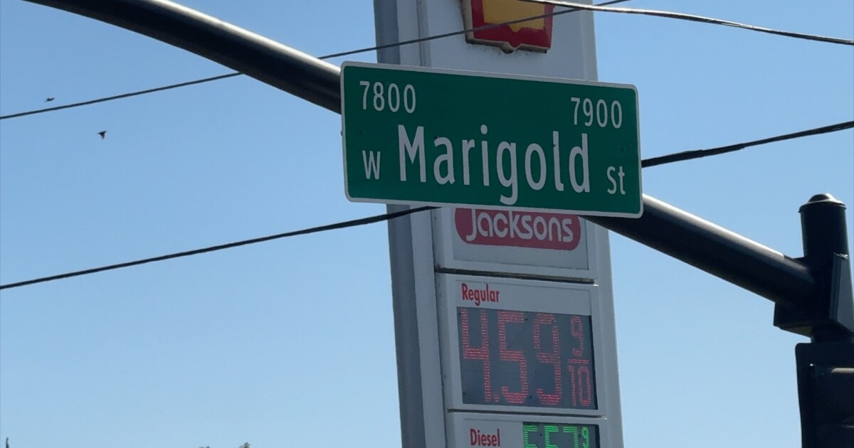 Garden City Possible changes coming to Marigold Street in Garden City Riley Shoemaker