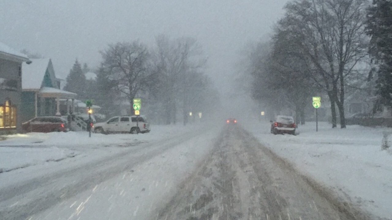 Metro Detroit residents brave first winter snowstorm of the year