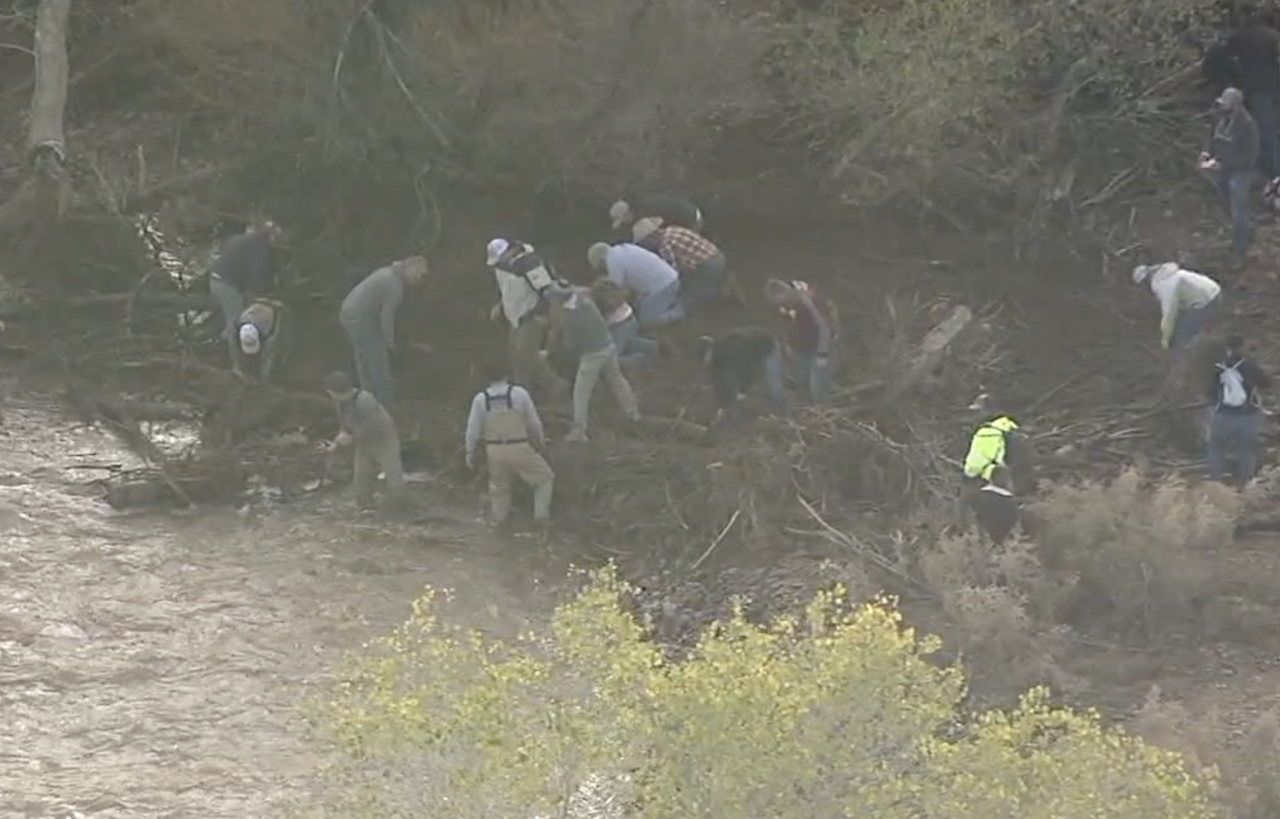 Search for Willa Rawlings