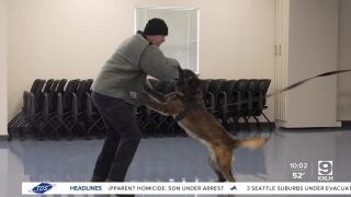 How K-9s work to keep Helena safe