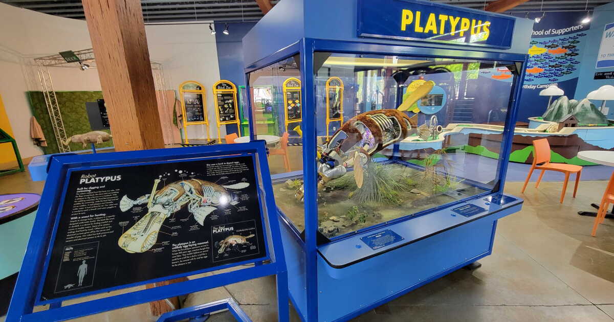 Robot animals take over ExplorationWorks - Vimarsana News