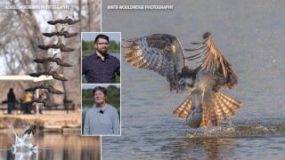 OSPREY-DISCO-THUMBNAIL.jpg