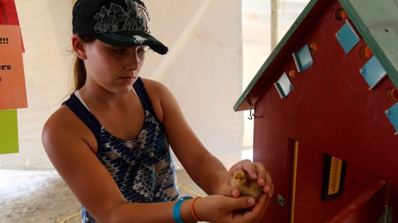 The 174th Waukesha County Fair comes to a close