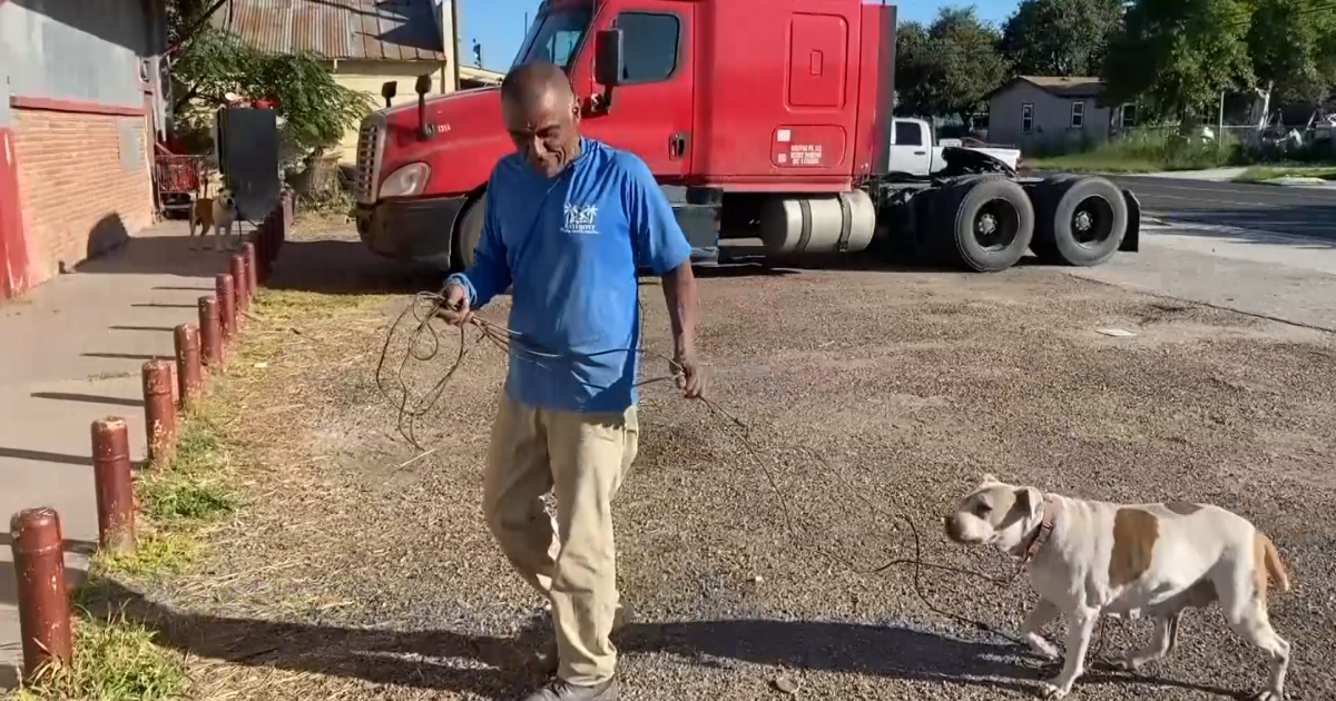 Man reunites with his dog after she was missing for years